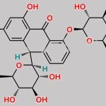 Cascaroside B CAS#: 53861-34-0