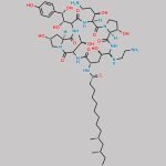 Caspofungin CAS#: 162808-62-0