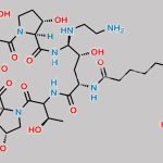 Caspofungin Diacetate CAS#: 179463-17-3