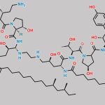 Caspofungin Dimer 1 CAS#: N/A