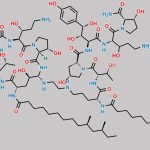 Caspofungin Dimer 2 CAS#: N/A