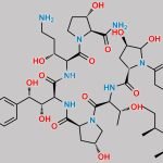 Caspofungin Impurity 1 CAS#: N/A
