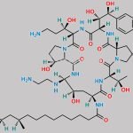 Caspofungin Impurity 11 CAS#: N/A