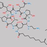 Caspofungin Impurity 13 CAS#: 1240611-93-1
