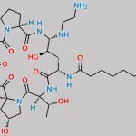 Caspofungin Impurity 15 CAS#: 2142583-72-8