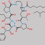 Caspofungin Impurity 3 CAS#: N/A