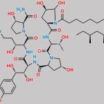 Caspofungin Impurity 5 CAS#: N/A
