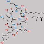 Caspofungin Impurity 6 CAS#: N/A