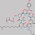 Caspofungin Impurity 8 CAS#: N/A