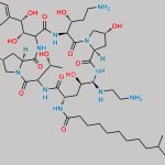 Caspofungin Impurity C CAS#: 251095-73-5