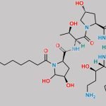 Caspofungin Impurity D CAS#: 314080-31-4