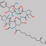 Caspofungin Impurity E CAS#: 150283-04-8