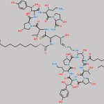 Caspofungin Impurity F CAS#: N/A