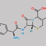 Cefaclor EP Impurity C CAS#: 143059-69-2