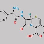Cefaclor EP Impurity D CAS#: 152575-13-8