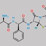 Cefaclor EP Impurity H CAS#: N/A