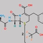 Cefaclor Impurity 2 CAS#: N/A