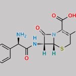Cefaclor Impurity 3 CAS#: N/A