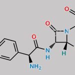 Cefadroxil EP Impurity D CAS#: 144790-28-3