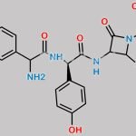 Cefadroxil Impurity 3 CAS#: N/A