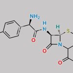 Cefadroxil USP Related Compound I CAS#: 147103-94-4