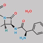 Cefadroxil Monohydrate CAS#: 66592-87-8