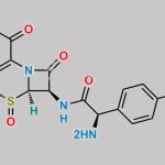 Cefadroxil R-Sulfoxide CAS#: 182290-77-3