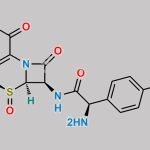 Cefadroxil S-sulfoxide CAS#: N/A