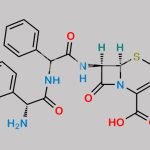 Cefalexin EP Impurity C CAS#: 72528-40-6