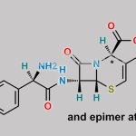 Cefalexin EP Impurity F CAS#: 79750-46-2