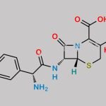 Cefalexin Monohydrate CAS#: 23325-78-2