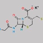 Cefazedone Potassium Salt CAS#: 66879-37-6