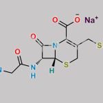 Cefazedone Sodium Salt CAS#: 63521-15-3