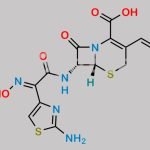 Cefdinir (E)-Isomer (USP) CAS#: 178601-88-2