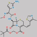 Cefditoren Pivoxil CAS#: 117467-28-4