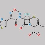 Cefepime Delta-2 -Isomer CAS#: 88040-25-9