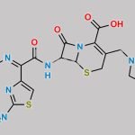 Cefepime Impurity 1 CAS#: N/A