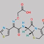 Cefixime EP Impurity C CAS#: 108691-83-4