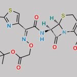Cefixime Tert-Butyl Ester CAS#: 79368-92-6