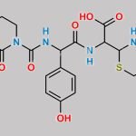 Cefoperazone Impurity 11 CAS#: 73240-09-2
