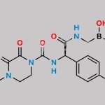 Cefoperazone Impurity 8 CAS#: 1204325-21-2