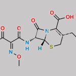 Cefotaxime Bromoacetyl Analog CAS#: 83305-12-8
