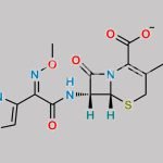 Cefotaxime Sodium CAS#: 64485-93-4