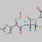 Cefotaxime Sodium EP Impurity E CAS#: 66340-33-8