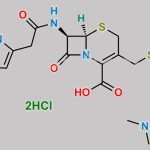 Cefotiam Dihydrochloride CAS#: 66309-69-1