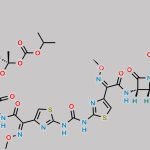 Cefpodoxime Proxetil Carbomyl Dimer CAS#: N/A