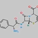 Cefprozil Delta-3 Isomer CAS#: 1000980-59-5