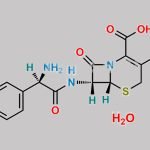Cefprozil Monohydrate CAS#: 121123-17-9