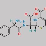 Cefprozil Monohydrate EP Impurity G CAS#: N/A