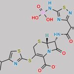 Ceftaroline Fosamil CAS#: 229016-73-3